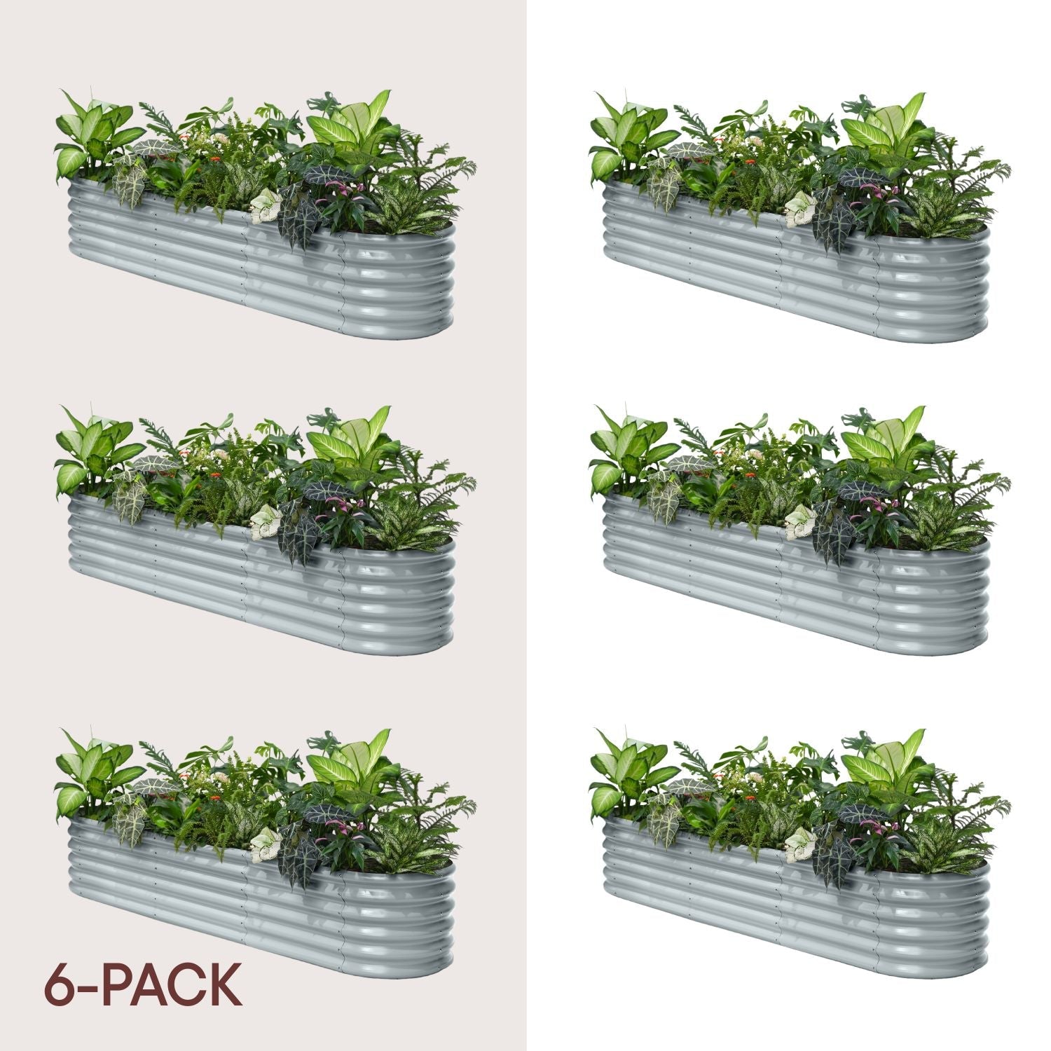 6-pack 18" Tall 8x2x1.5 ft Raised Garden Bed Kits