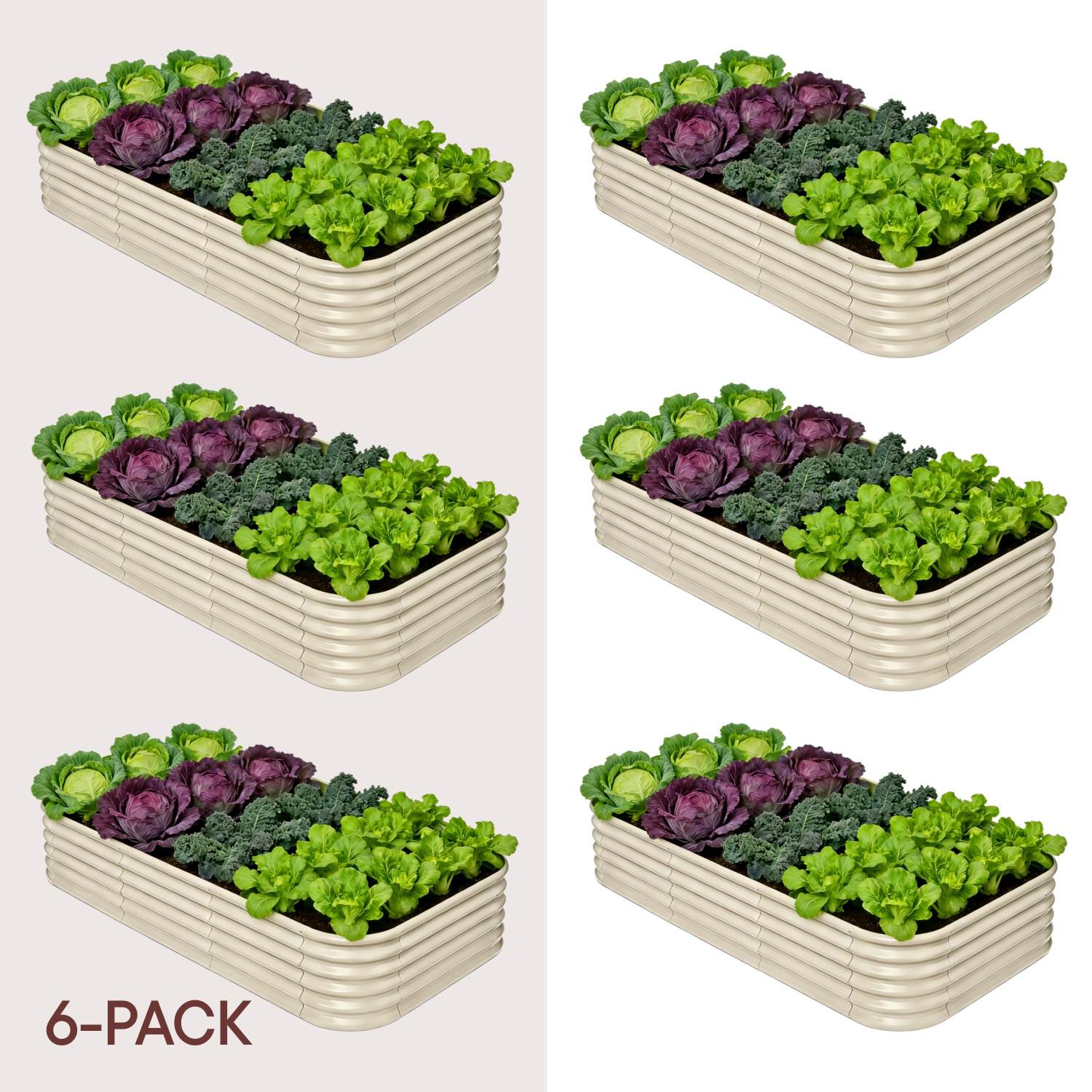 6-pack 18" Tall 8x4x1.5 ft Metal Raised Garden Beds