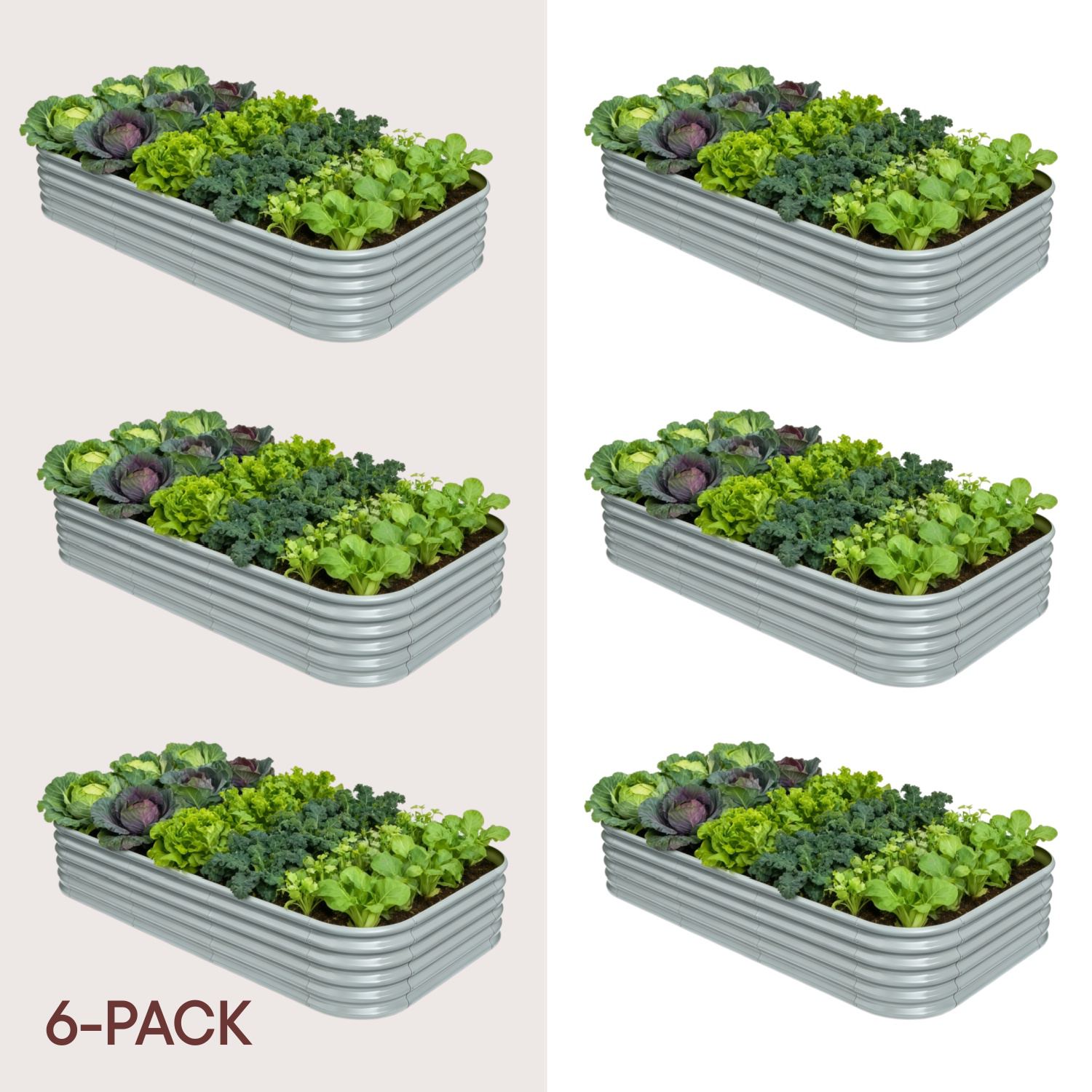 6-pack 18" Tall 8x4x1.5 ft Metal Raised Garden Beds