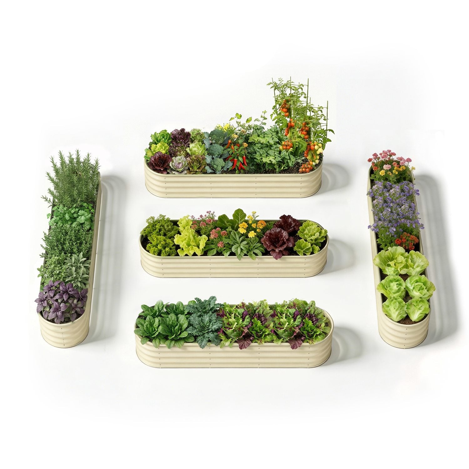 Everyday Kitchen Garden Layout – 18" Tall Raised Garden Bed Set (5 Beds)